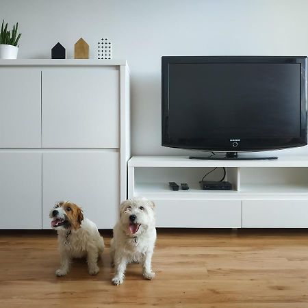 Uroczy Apartament Pod Skarpa ヴァドヴィツェ エクステリア 写真