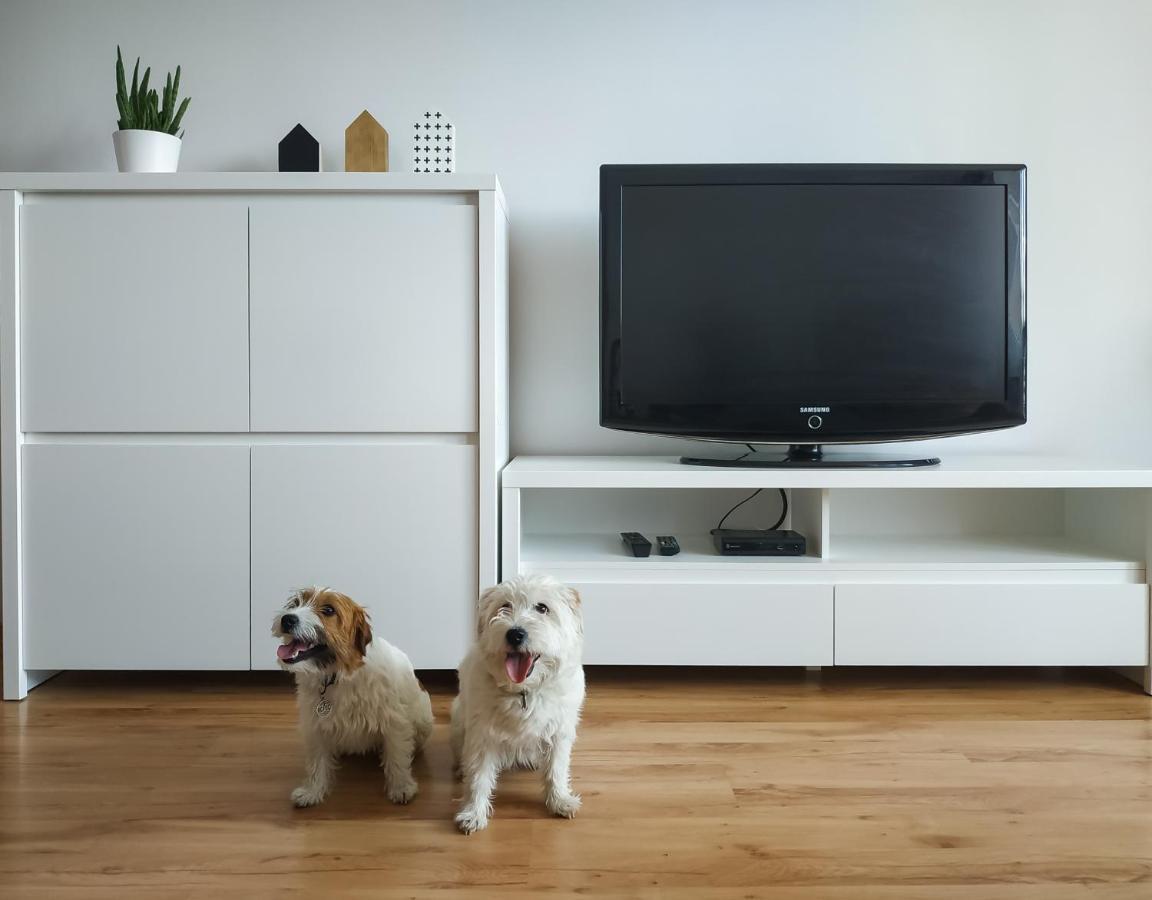 Uroczy Apartament Pod Skarpa ヴァドヴィツェ エクステリア 写真